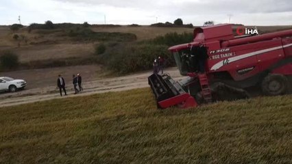 Download Video: Çeltiğin başkenti İpsala'da damlama sulama yöntemi ile İlk defa ekilen çeltiğin hasadı yapıldı