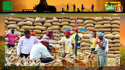 Kisan Bulletin - मखाने के खेती करने वाले किसानों के लिए केंद्र सरकार ने किया बड़ा ऐलान | Green TV