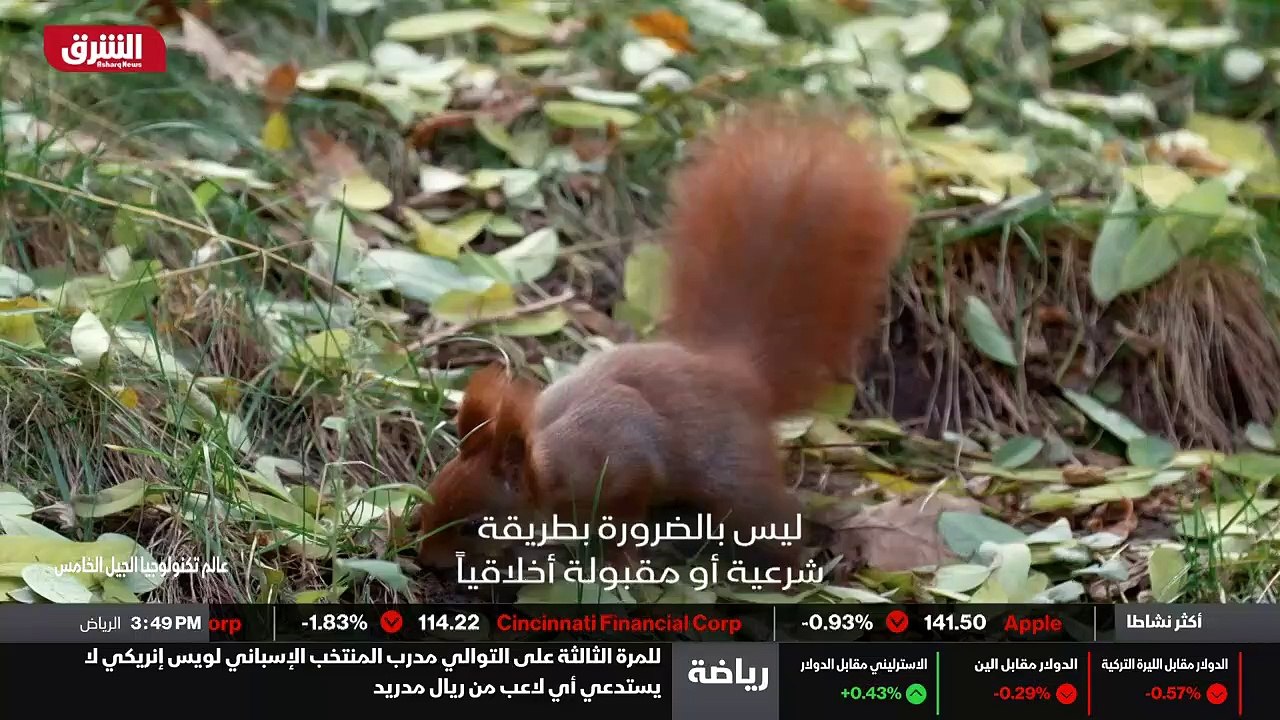 ...الامن العام...