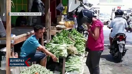 Tải video: Abaikan Prokes, Wakil Wali Kota Kupang Ancam Hentikan Pesta Warga