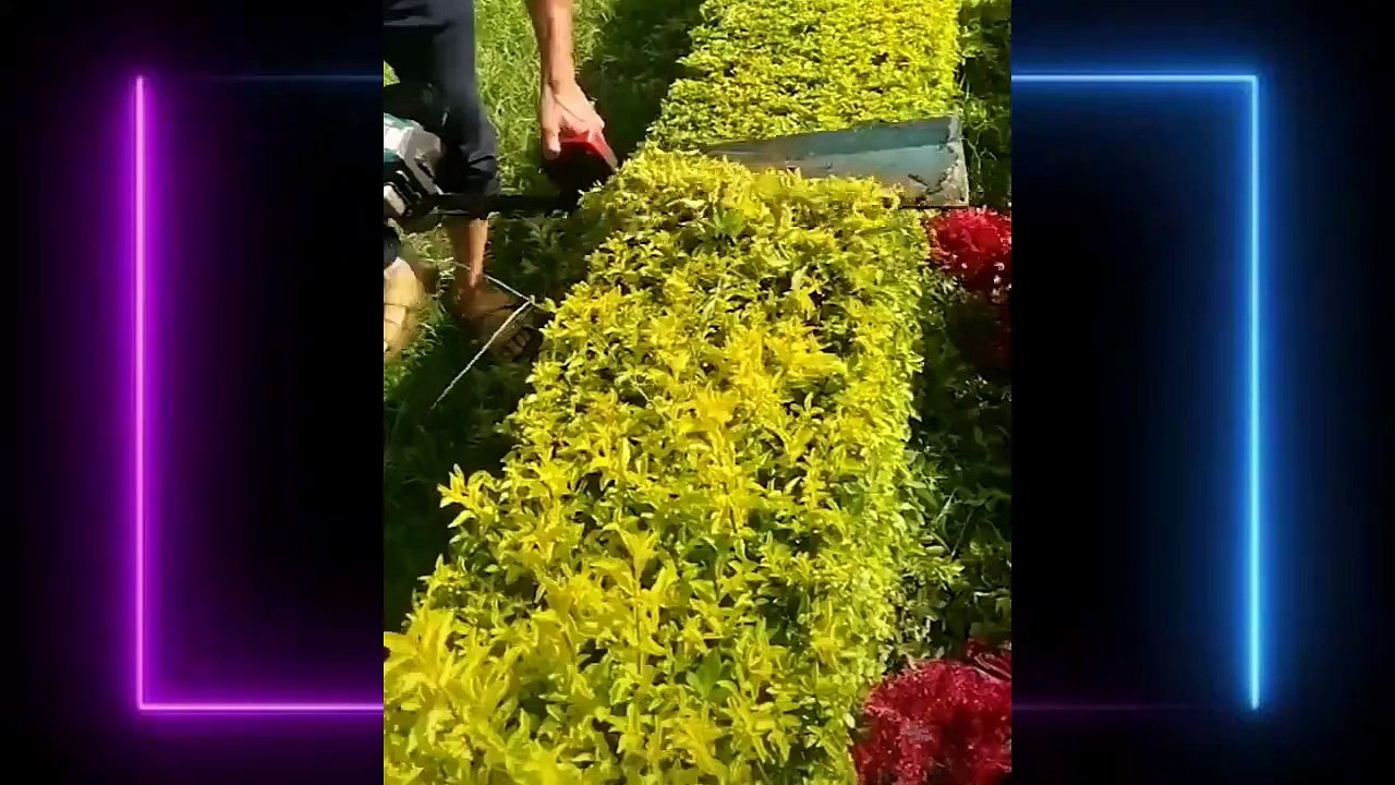 Satisfactory video