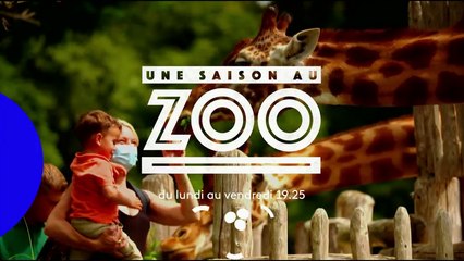 Une saison au zoo  - Saison 14 - Bande annonce