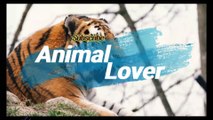 German shaperd babies |Animal Lover |Animals Channel |Dogs/Breeds