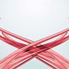 Ventania destrói vidro de estabelecimento comercial de Apucarana