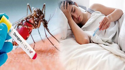 क्या Dengue एक बार ठीक होने के बाद दोबारा हो सकता है  ? WATCH VIDEO | Boldsky
