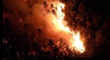 Incendi boschivi: 79.796 interventi dei Vigili del Fuoco in quattro mesi (01.10.21)