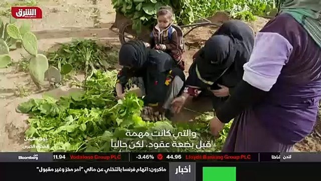 ...نية الأساسية لها انها تلعب دورا مظلة بال...