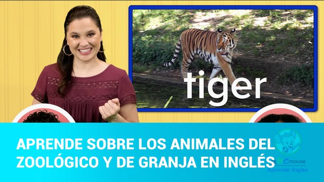 ABC Mouse Capítulo 8: Aprende sobre los animales del zoológico y de granja en inglés