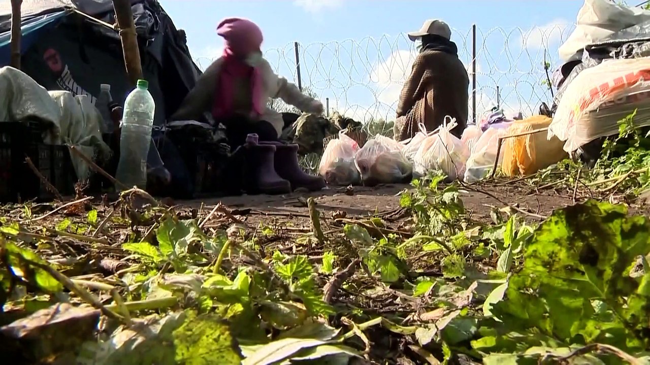 Grenze zu Belarus: Polen verlängert Ausnahmezustand