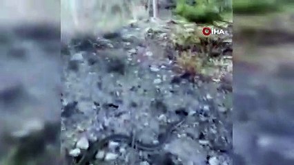 Yılanla konuşan adam!