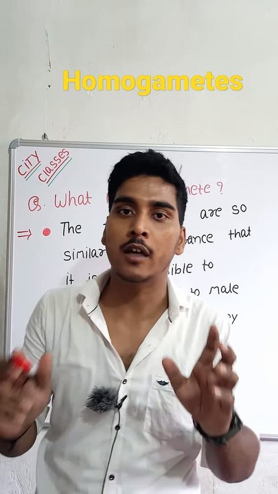 Homogametes | Homogametes in Hindi | Homogametes biology | What is Homogamete #cityclasses