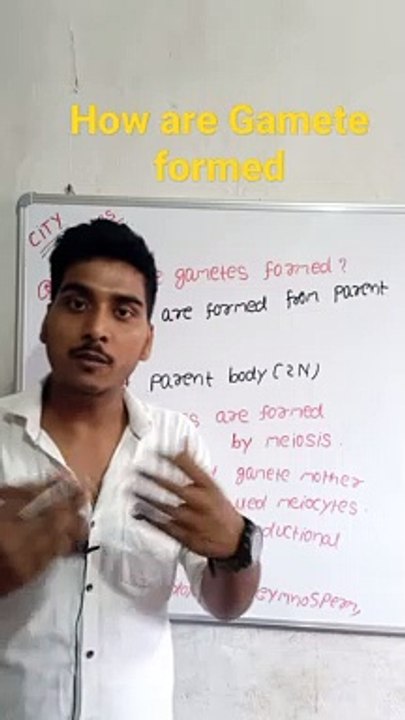 How are Gamete formed | How are Gamete formed in Hindi | How are Gamete formed biology | How are Gamete formed in Diploid parent body #cityclasses