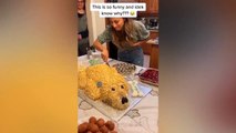 Cats Reaction to Cutting Cake  l Funny Pets Cake Reaction Funny - MEOW