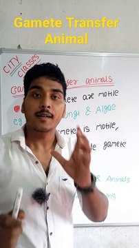 Gamete transfer animals | Gamete transfer animals in Hindi | Gamete transfer animals biology #cityclasses