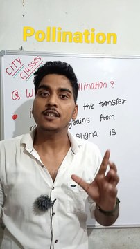 Pollination | pollination in Hindi | pollination biology | what is pollination #cityclasses