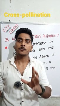Cross pollination | cross pollination in Hindi | cross pollination biology | what is cross pollination #cityclasses