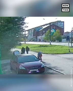 Pedestrians Narrowly Escape Falling Tree