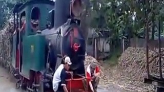 The Steam engine that pulls a series of sugarcane wagons