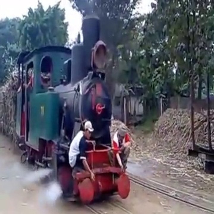The Steam engine that pulls a series of sugarcane wagons