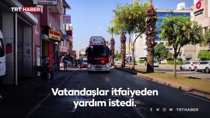 3 gün ağaçta mahsur kaldı, kurtarılacağı sırada indi