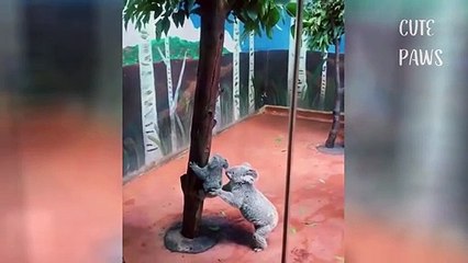 Wow So Cute ♡ Best Funny Cats and Dogs 2020 #14