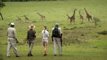 This New Walking Safari Explores Wildlife of the Serengeti