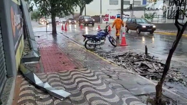Tempo vira em Apucarana e chuva provoca queda de árvore; veja