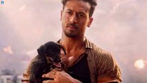 Tiger Shroff Reveals Whom He Will Protect In Baaghi 4  Bollywood Top Fan
