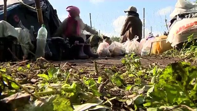 Pris en étau entre le Bélarus et la Pologne, des migrants tentent de survivre dans le froid