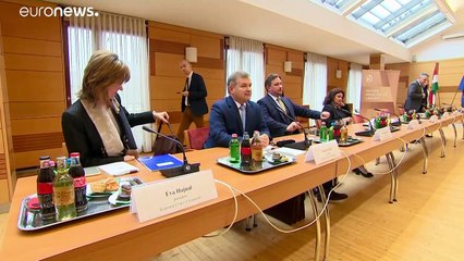 EU-Bürgerrechtskomitee in Ungarn: Bedenken am Rechtsstaat