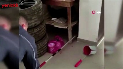 Akaryakıt istasyonunda 'yılan' paniği!