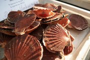 Sea Scallops vs. Bay Scallops: What's the Difference?