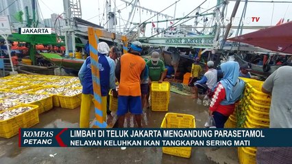 Limbah di Air Teluk Jakarta Mengandung Parasetamol
