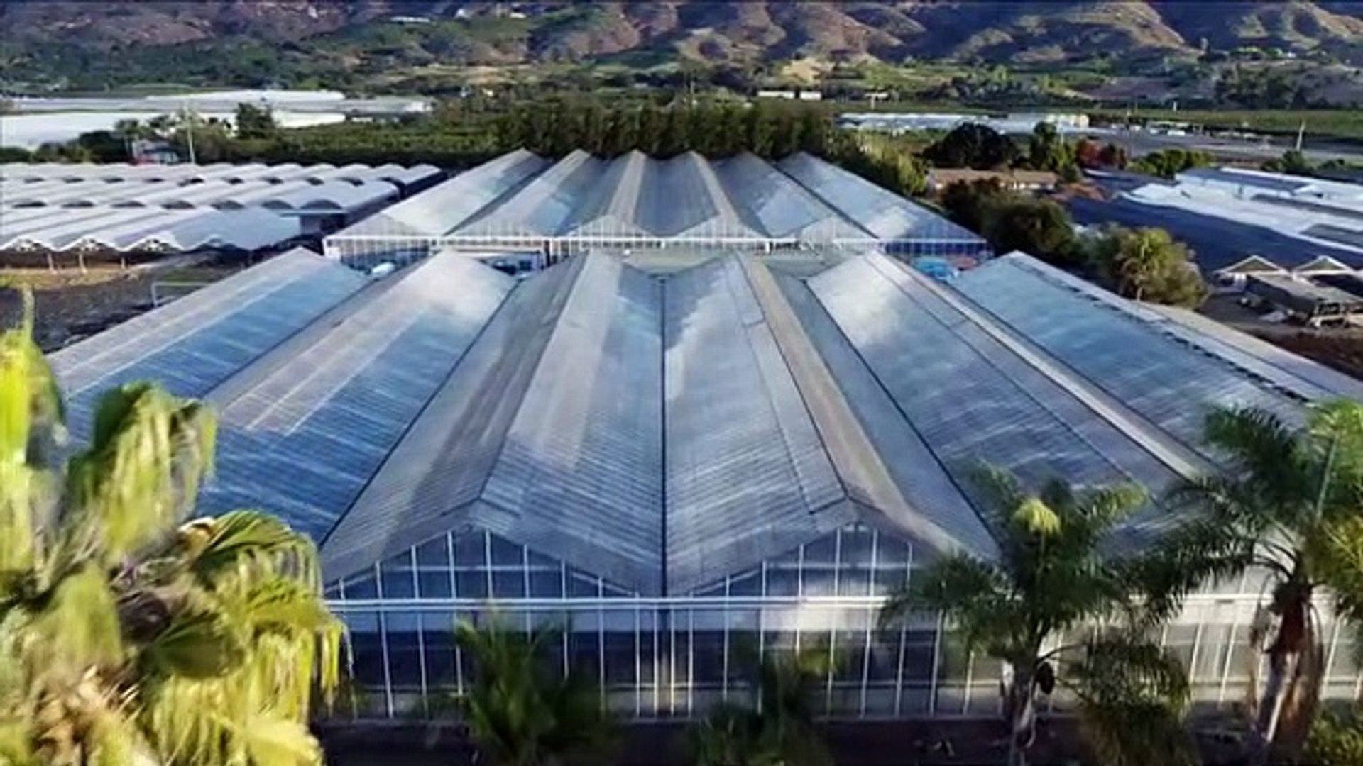 NOVA The Cannabis Question