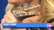 Meet a Dwarf Caiman from Wildlife World Zoo, Aquarium & Safari Park