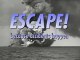 NOVA Escape Because Accidents Happen Abandon Ship 1999