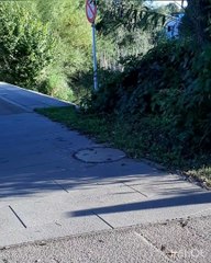 Mein Freund das Ekel * Blutflut + eiskalt* Zucchiniröllchen oder so*  Corona Tag 563