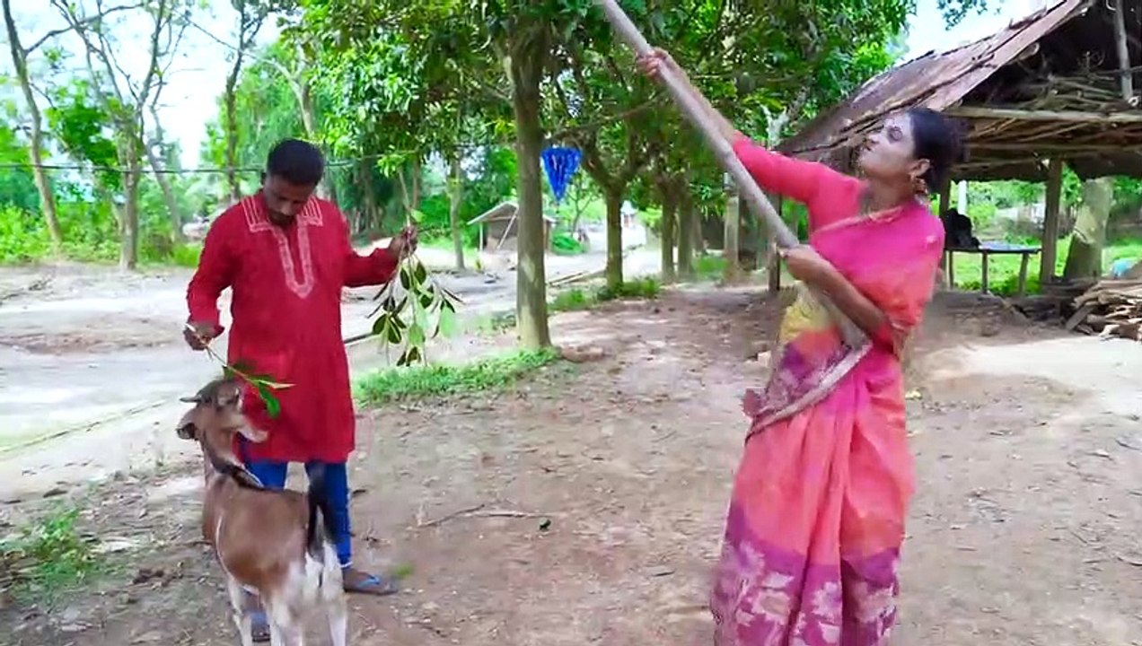 Must Watch New Funniest Comedy video 2021 amazing comedy video 2021 Episode 125