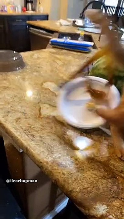 Compilation video funny cats