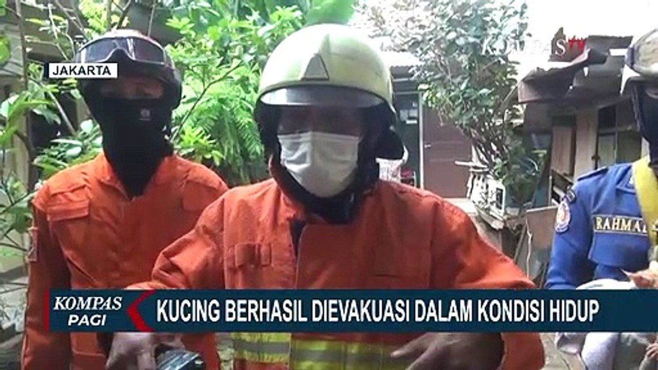 Damkar Selamatkan Kucing dari Sumur Sedalam 6 Meter