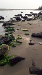 Enjoy the beautiful view of the sea.