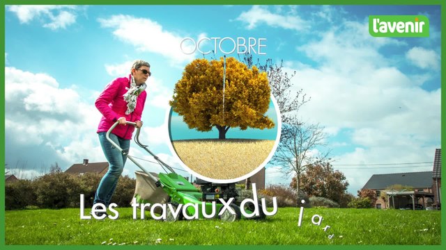 Travaux du jardin : les pelouses