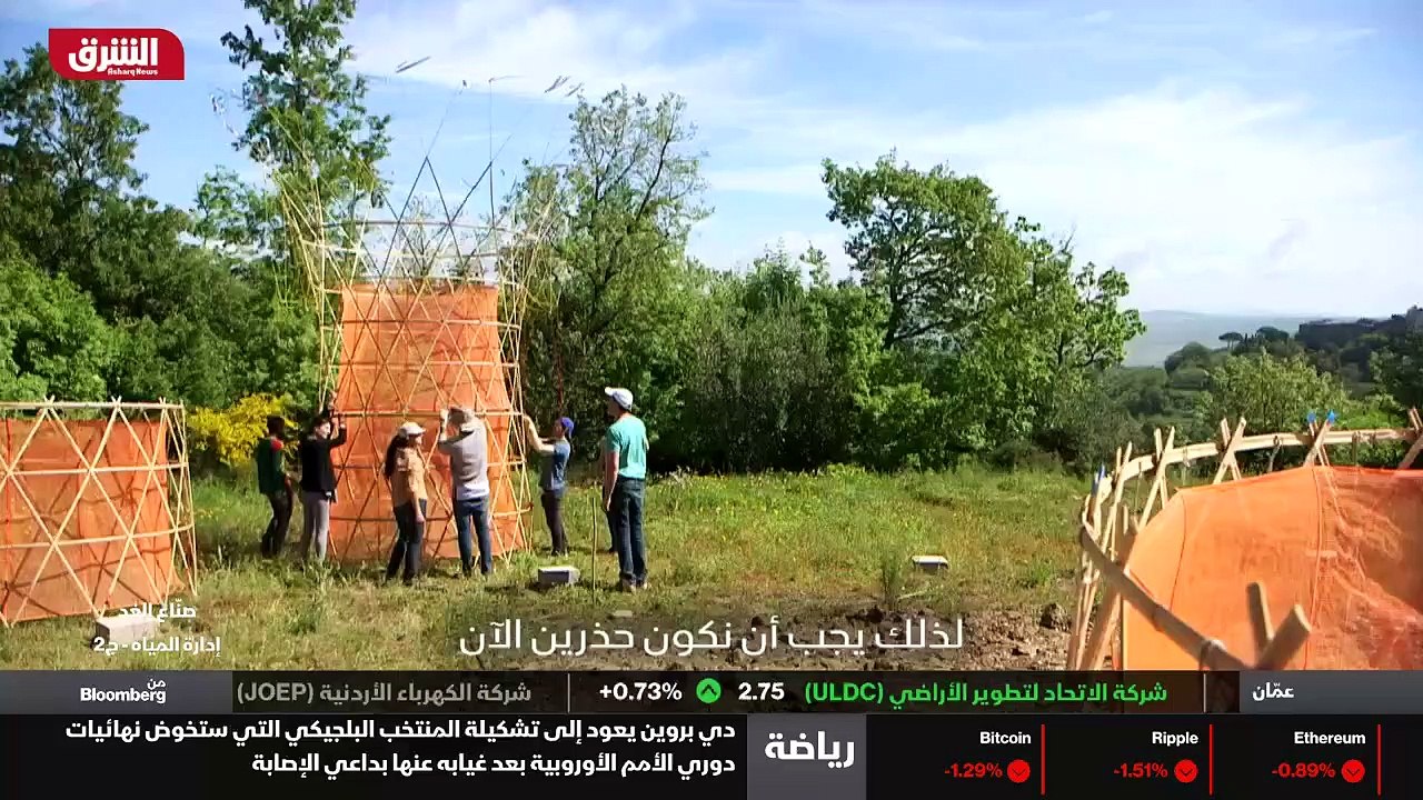 الدماغ الجديد