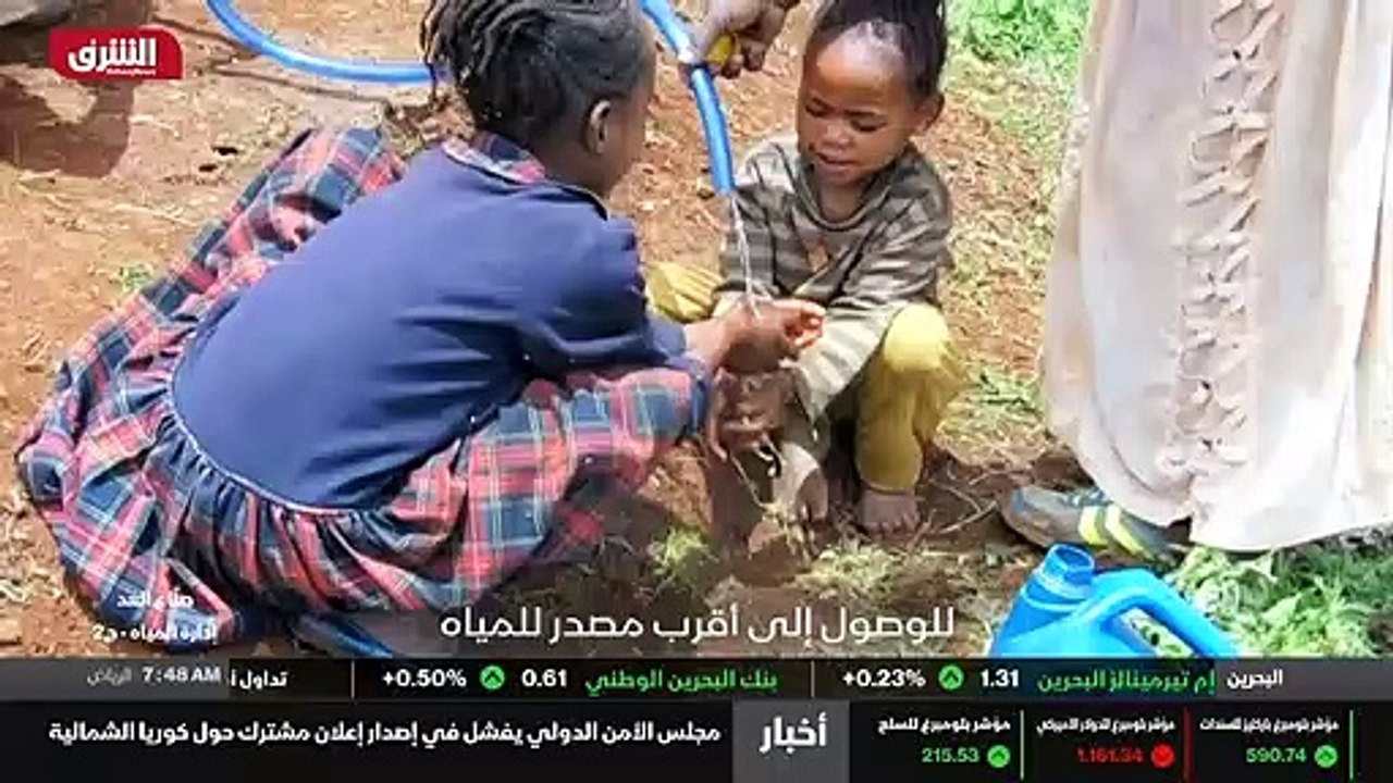 الدماغ الجديد