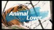 Labrador Retriever |Animal Lover |Animal Channel |Dogs/Breeds