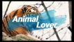 German Shaperd 4K Amazing Video |Animal Lover | Animals Channel | Dogs/Breeds