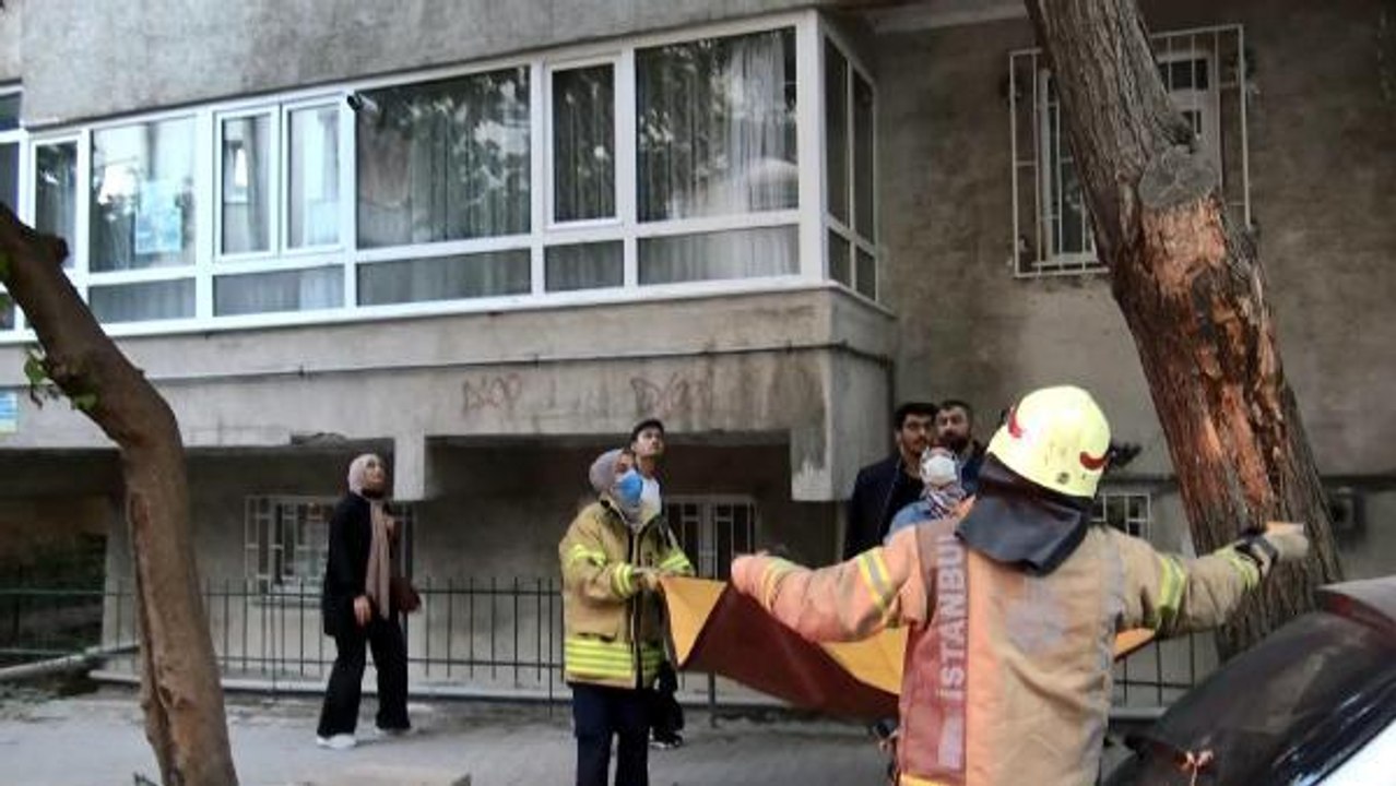AVCILAR'DA AĞAÇTA MAHSUR KALAN KEDİYİ İTFAİYE KURTARDI