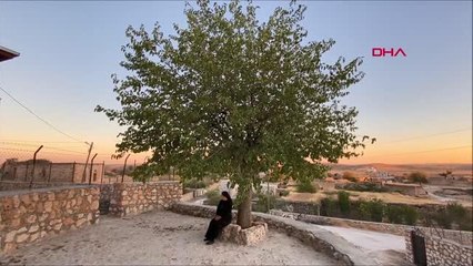 DÜNYACA TANINAN SÜRYANİ RAHİBE, 36 YIL SONRA KÖYÜNE DÖNDÜ