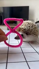 Adorable Baby Moments 😊