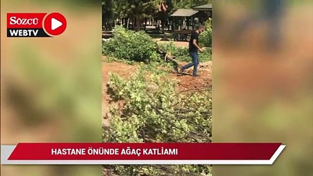Hastane önünde ağaç katliamı
